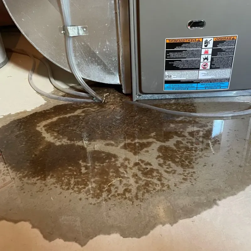 Pipe Burst and Leak Restoration in Arlington, NY